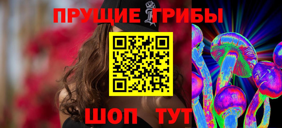 Галлюциногенные грибы Psilocybe Лесной